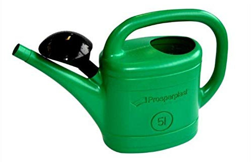 Garden Watering Can Green Wash Watering Cans Rose Storage Nozzle (5L)