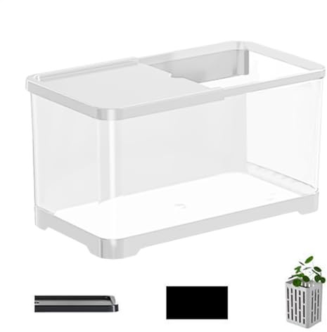 Aquarium compact - Kit pour débutants d'aquarium, jeux pour débutants d'aquarium | Ensemble d'aquarium marin compact décoratif avec filtre et lampe, aquarium artistique