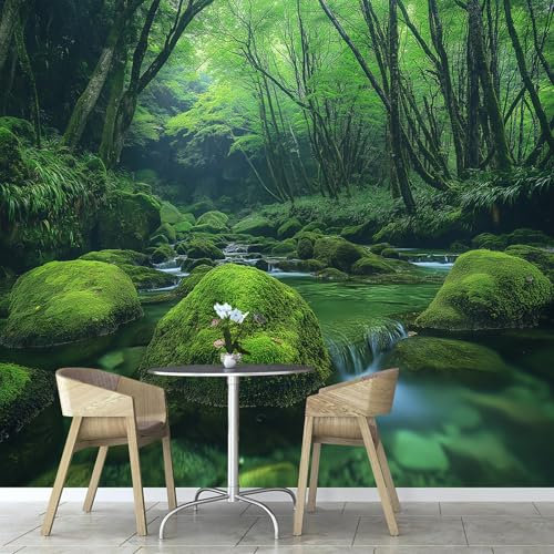Fotomurale da Parete 3D Natura Valle, Pietra Muschio Carta Da Parati In Tessuto di Seta Murale Decorazione Da Muro, 350×256cm Moderne Fotomurali Decorazione Soggiorno