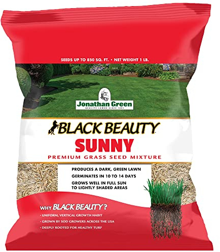 Jonathan Green (10895) Black Beauty Sunny Grass Seed - Cool Season Lawn Seed (1 lb)