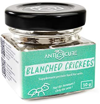 Ganze Blanchierte Heimchen - Futter für Fische, Reptilien, Asseln, andere Insekten