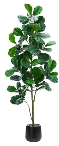 TNGGNT Artificial Fiddle Leaf Fig Tree：6FT Tall Faux Ficus Lyrata Plant Fake Fig Trees Realistic Green Silk Large Leaves with Natural Trunks & Pebbles in Black Planter for Indoor Outdoor Office Home.
