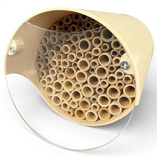 Nidificateur pour abeilles sauvages - Absolument durable et résistant aux intempéries - Hôtel à insectes avec nichoirs en bambou - Hôtel d'abeilles sauvages de qualité supérieure pour les amateurs de