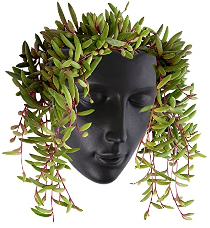 Notakia Pflanzgefäß mit Gesicht, Wandmontage, für drinnen und draußen, mit Drainage, für Sukkulenten, Kakteen und kleine Pflanzen, einzigartige Heimdekoration, Geschenk für Freunde und Familie