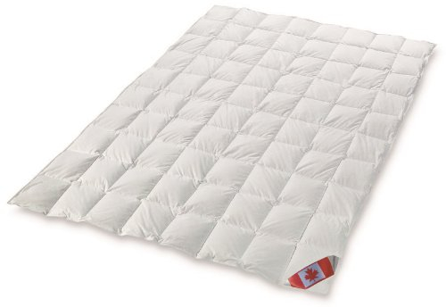 Schäfer Sommerbett Kassettenbett Polaris Premium canadische Daunen Daunenbett 100% Natur Gänsedaunenbett Wärmegrad 1 (155x220)