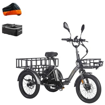 Fafrees Triciclo eléctrico F20 Mate 2025, plegable, batería de 48V 21Ah, motor 65 Nm, neumáticos 20x3.0, 150 kg, bicicleta para mayores