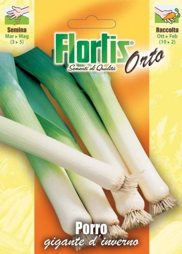 Porro Gigante D'Inverno