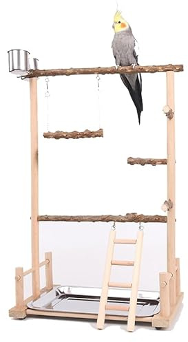 TEMU-SC Wooden Parrot Stand - Bird Playground with Perches for Small to Medium Parakeets, Cockatiels, Finches, Budgies & Lovebirds (36.5 x 23 x 57CM)