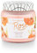Tried & True Wild Rose Large Jar Candle, 15.5 oz, Clear