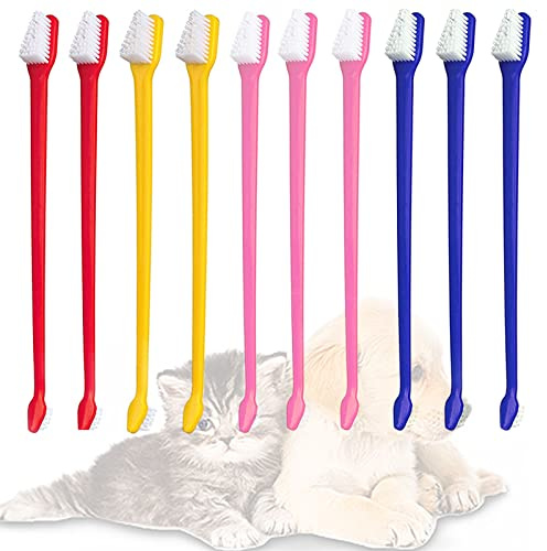 DKDDSSS 10pcs Long Handle Double Head Dog Toothbrush, Cat Teeth Cleaning Tool for Pet Dogs Cats Puppy Dental Care