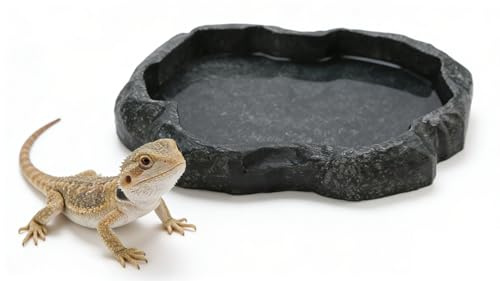 FuxFuis Cuenco para Reptiles Comedero para Reptiles Bebedero para Reptiles Comedero de Comida y Agua para Reptiles Cuenco de ABS para Agua para Terrarios de ABS para Mascotas Tortugas Lagartos