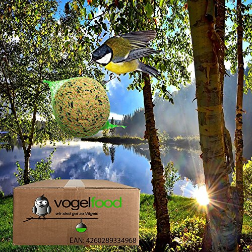 Vogelfood 200 x 90 g = 18 kg Meisenknödel Marke Vogelfood Vogelfutter 4 Jahreszeitenknödel Wildvogelfutter Ganzjahresfutter Fettfutter mit Netz