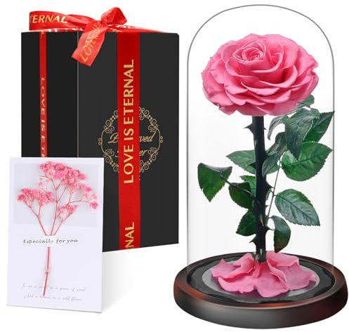 Eternal Forever Rose in Glass Dome | Fresh Rose Gift | Flower Preserved for 5 Years | Handcrafted | Beauty and the Beast Romantic Gifts for Women | Anniversary, Christmas valentine’s day,Pink