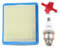 Atunee Luftfilter und Zündkerze für Quantum 625 650 675 Rasenmäher mit Motor, ersetzt 491588 399959 491588S