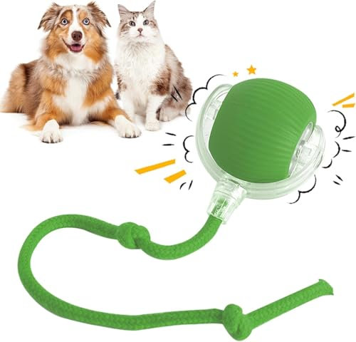 Asslye Interactive Cat & Dog Toy, Chewie Viral Rolling Ball - 360° Smart Automatic Chase Mate - Rechargeable Irregular Moving