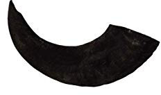 Express Pet Supplies Medium Lamb Horn | 100% Natural Air-Dried Dog Treat Chew | Long Lasting large Dogs