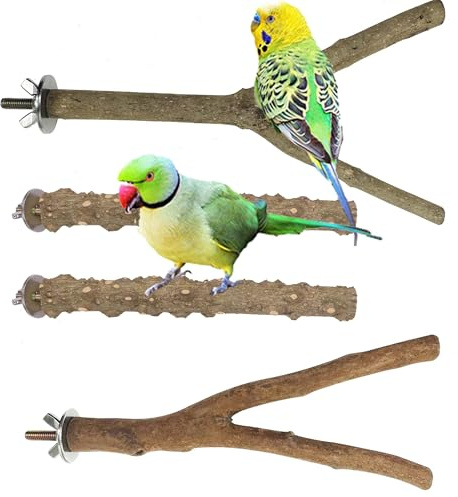 Allazone 4 PCS Natural Parrot Perch Wooden Parrot Perch Stand Bird Stand Parakeet Climbing Standing Branches Toy for Small Lovebirds Budgies Cockatiels