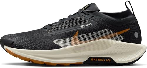 NIKE Herren Pegasus Trail 5 Gore-TEX Sneaker, Off Noir/Pale Ivory-Black-Monarch, 44 EU