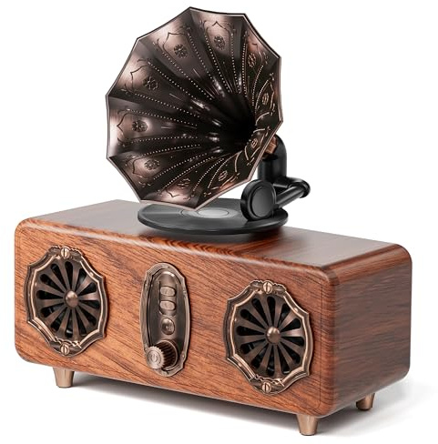 COLSUR Haut-Parleur Bluetooth rétro Vintage FM avec Prise en Charge Carte TF/AUX/USB Portable sans Fil pour iPhone Android 5 W Haut-Parleur Bluetooth 5.4 1800 mAh Batterie