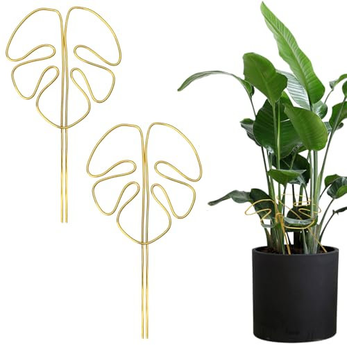 APOMOONS 2 supporti per pianta Monstera, decorativo per steli e piante esterne (28 x 15 cm)