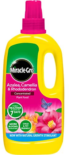 Miracle-Gro Azalea, Camellia & Rhododendron Concentrated Liquid Plant Food, 1 Litre