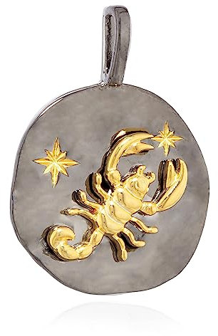NKlaus Colgante de 17 mm signo zodiacal Escorpio plata 925 zodiaco oro negro amuleto 13981, Plata de ley, No es una piedra preciosa