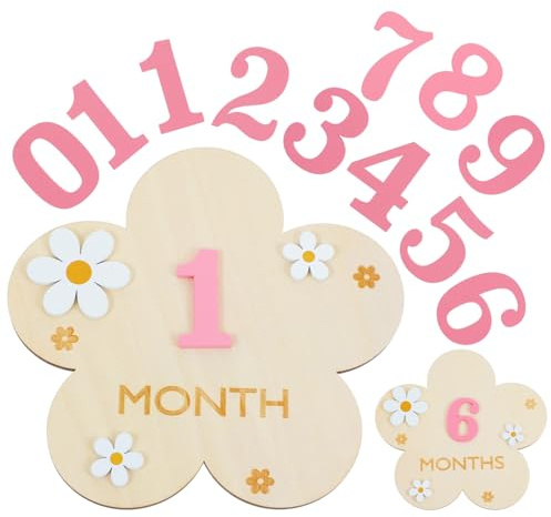 3D Baby Monthly Milestone Markers Disc, Milestone Wooden Circles for Baby Photos, Babies Announcement Sign, Babies Months Signs, 1-12 Month Milestones Cards
