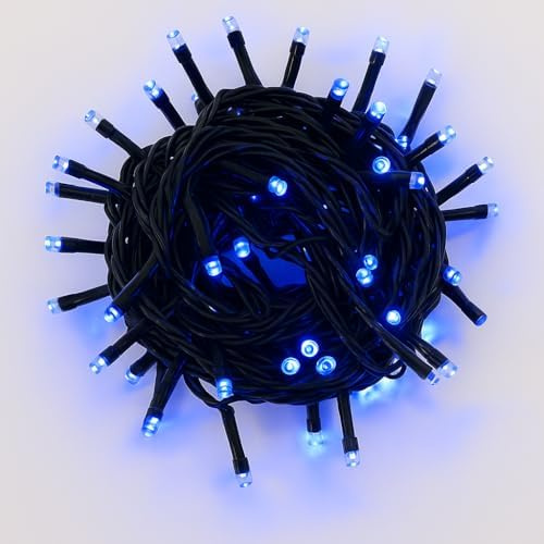 Elektronova Catena Luminosa 100 LED, 10Mt, Luce Blu, Cavo Nero, IP65, Prolungabile, Effetto Flash Bianco, ghirlanda nataliza, negozi, balcone