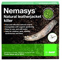 Nemasys Leatherjacket Killer Nematodes 100 sqm