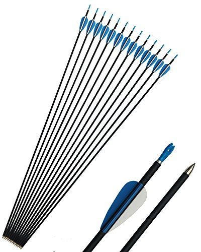 SHARROW 12 Stück Carbonpfeile 32 Zoll Carbon Pfeile Spine 1000 Zielpfeile Jagdpraxis Pfeil für Anfänger Jagdpfeile Bogenpfeile für Compound und Recurvebogen