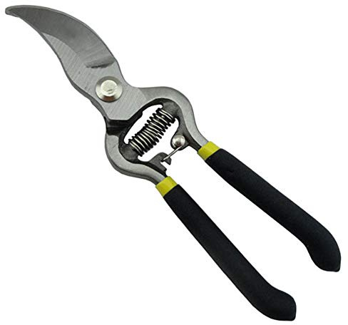 Coupes de Fleurs, Cisailles de Jardin, Sécateurs de Jardin Multi-tâches Pointus, à Utiliser Pour la Chasse au Bâton, la Récolte, la Coupe D'herbes, de Fruits, de Fleurs ou de Légumes