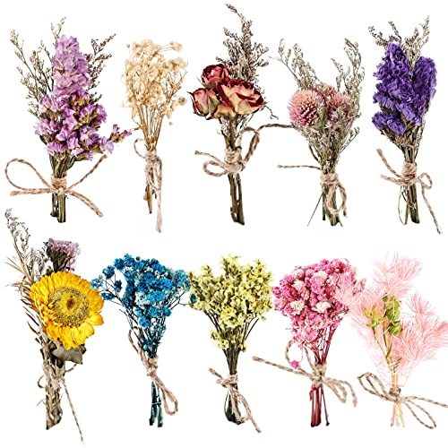 Nizirioo 10 Mazzi di Fiori Secchi, Mini Bouquet di Fiori Secchi Decorativi per Casa, Giardino, Feste e Ufficio per Fai da Te (A)