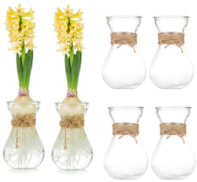 Glasseam Clear Glass Vase for Flowers, Set of 6 Bulb Vase for Forcing Hyacinth Bulbs, Small Vases for Centerpieces, Decorative Bud Flower Vase for Home Decor Living Room Wedding Table Decorations