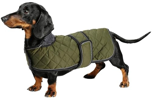 Geyecete-Manteau Chaud imperméable pour Teckel, Manteau d'hiver pour Chien avec Doublure en Polaire Chaude et Bandes réglables,l'hiver Veste pour Petit et Moyen Chien-Amy Vert-S