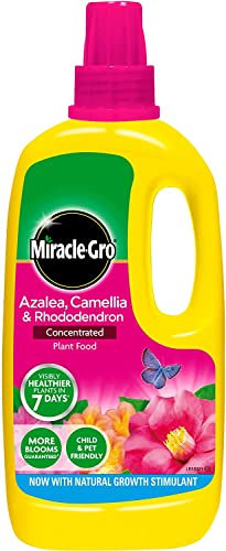 3 X Miracle-Gro Azalea, Camellia and Rhododendron Liquid Plant Food Bottle, 1 L