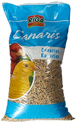Riga Saatenmischung für Kanarienvögel, 1er Pack (1 x 3 kg)