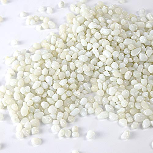 XIZHI Magnifique gravier naturel décoré d'aquarium pour poissons, tortues, paysage, fond ou plantes en pot, décoration de jardin, galets (blanc)