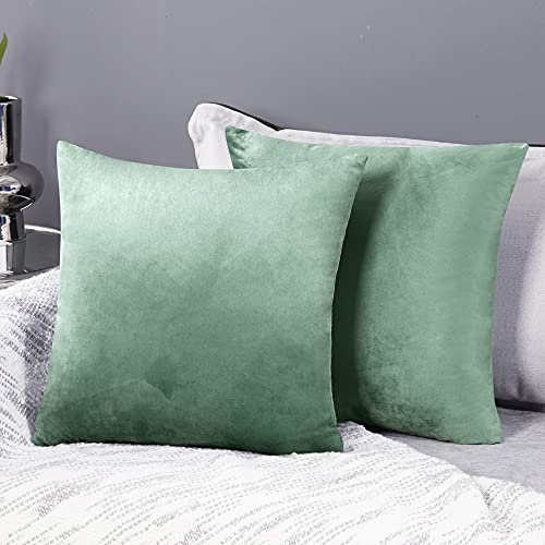 Deconovo Set of 2 Velvet Cushion Covers 65 x 65 cm Light Green
