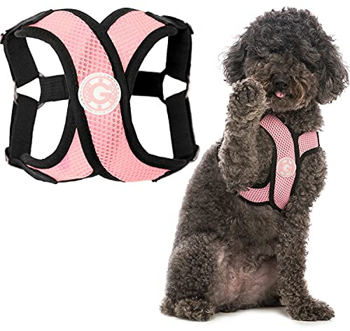 Gooby Comfort X Step in Harness - Pink, Medium - No Pull Small Dog Harness Patented Choke-Free X Frame - Perfect on The Go Dog Harness for Medium Dogs No Pull or Small Dogs for Indoor and Outdoor Use