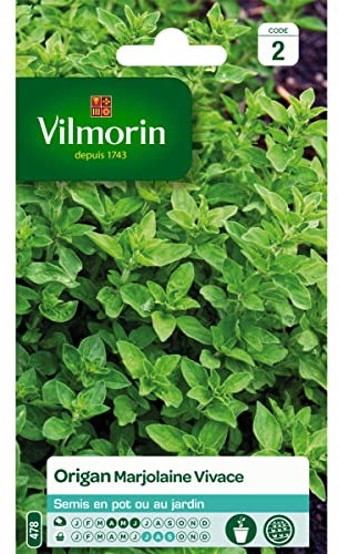 Vilmorin - Sachet graines Origan Marjolane Vivace