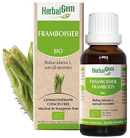 HERBALGEM - Macérât-Mère - Framboisier Bio - Complément Alimentaire Gemmothérapie Concentrée - Extrait De Bourgeon Frais - Pour Santé Féminine - 30 ml