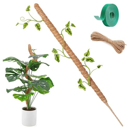 Herbst Monstera Tuteur de 120 cm - Bâton de coco souple Monstera avec corde fixe de 4 m - Bâton de mousse pour Monstera en fibre de coco naturelle