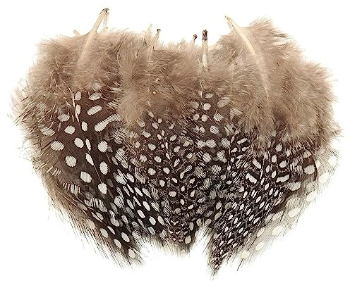 Bunte Federn 100 Stück Perlhuhn-Federn natürliche gesprenkelte Federn Handwerk zum Basteln für DIY Ohrring, Hochzeit, Traumfänger, Kopfschmucksfedern