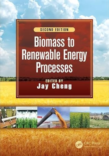 Biomass to Renewable Energy Processes
