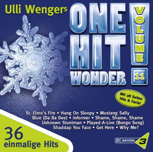 One Hit Wonder Songs, Vol. 11