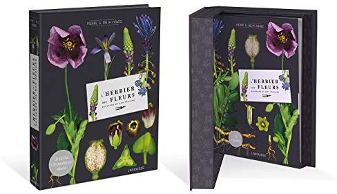 L'herbier des fleurs sauvages de nos régions