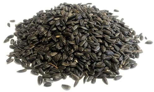 Black Sunflower Seed 10kg Premium Wild Bird Food