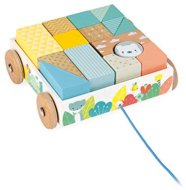 Janod - Pure Holzblöcke mit Ziehwagen, Spielzeug für frühkindliches Lernen, mit 16 Bausteinen, fördert motorische Fähigkeiten, Farbe auf Wasserbasis, ab 18 Monaten, J05152