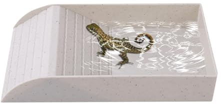 Reptilvattenskål – bärbar sköldpaddsskål för husdjur, maträtt