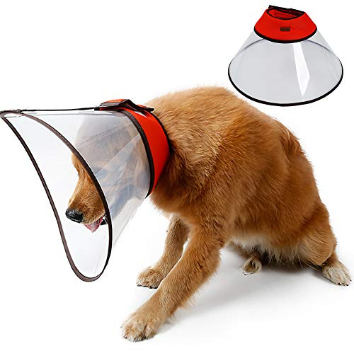 PJDDP Halskrause Für Haustiere,Schutzkragen Kegel Krägen, Kunststoff Elisabethanischer Kragen Für Katzen Kleine Hunde Und Kaninchen, Gegen Beißen, Lecken, Wundheilung,Rot,XXL